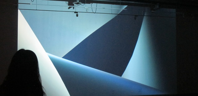 Sara Ludy's performance at the Public Functionary.