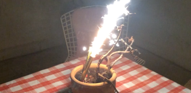 FD13 Pre-season Launch. Friday, 17 November 2017, 6–7.30 pm. Henry & Son.